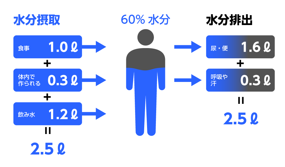 水の排出量の計算